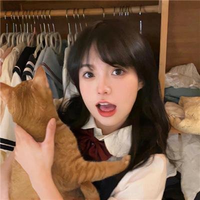 冷案